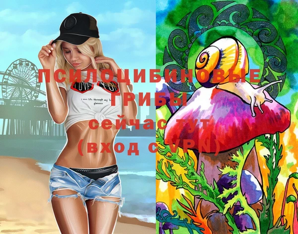 не бодяженный Алексин