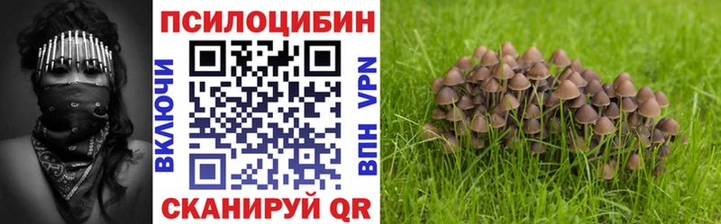 Галлюциногенные грибы Psilocybe  Купить  Воронеж 